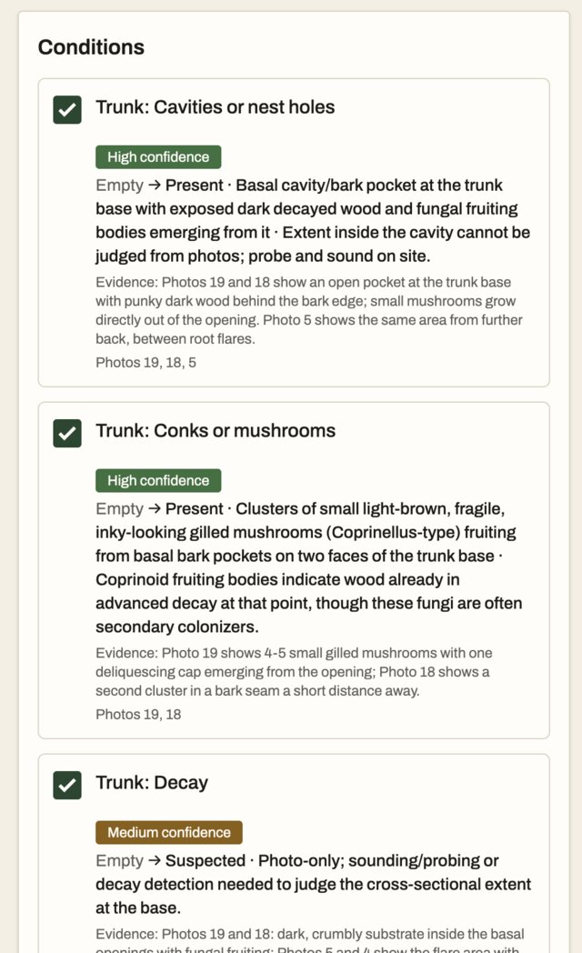 Reviewing an AI analysis on a phone: suggested trunk conditions, each ticked, with its confidence, the value it would fill in, the evidence and the photos it came from.