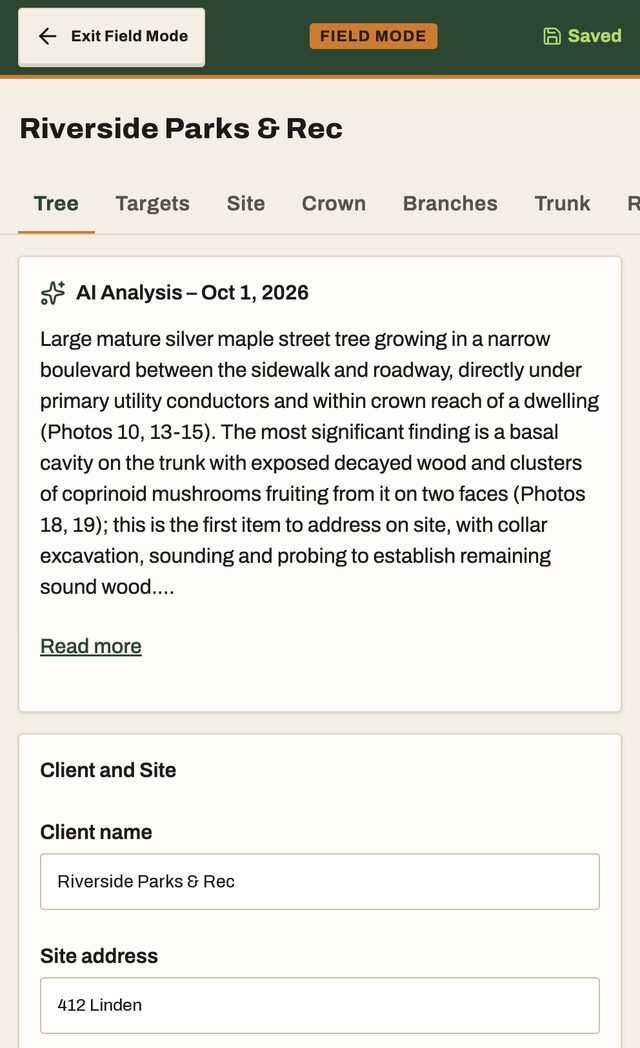 Field mode on a phone, showing Saved: the Tree tab with the tree's AI analysis summary above the client and site fields.