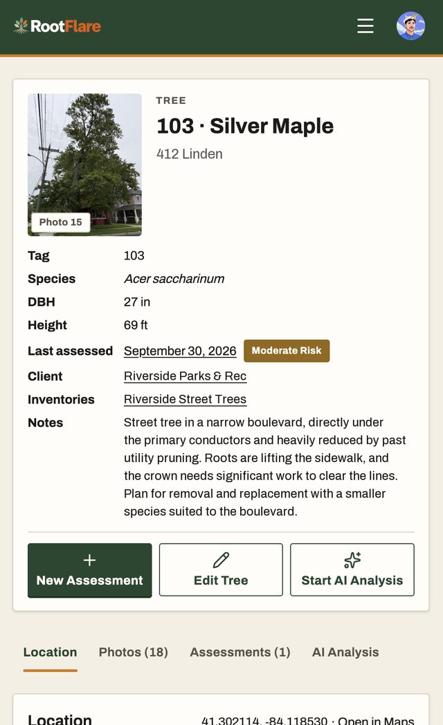 A tree's page on a phone: its photo, tag 103, Silver Maple, DBH, height, last assessed Moderate Risk, client, inventory and notes, with New Assessment, Edit Tree and Start AI Analysis buttons.