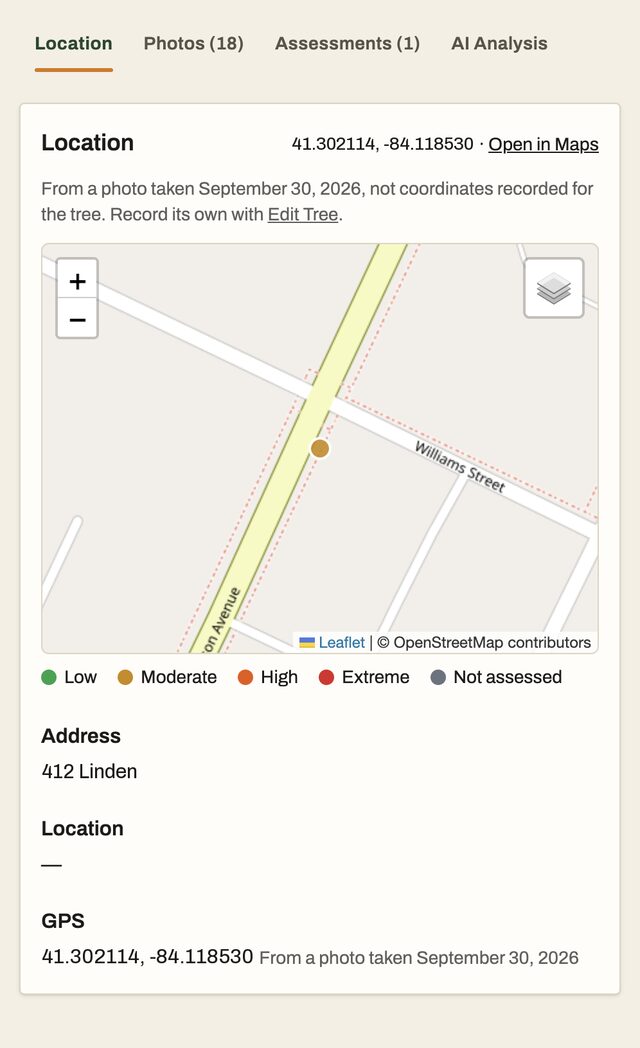 The tree's location on a phone: a street map with the tree pinned, the coordinates noted as coming from a photo, and the address.