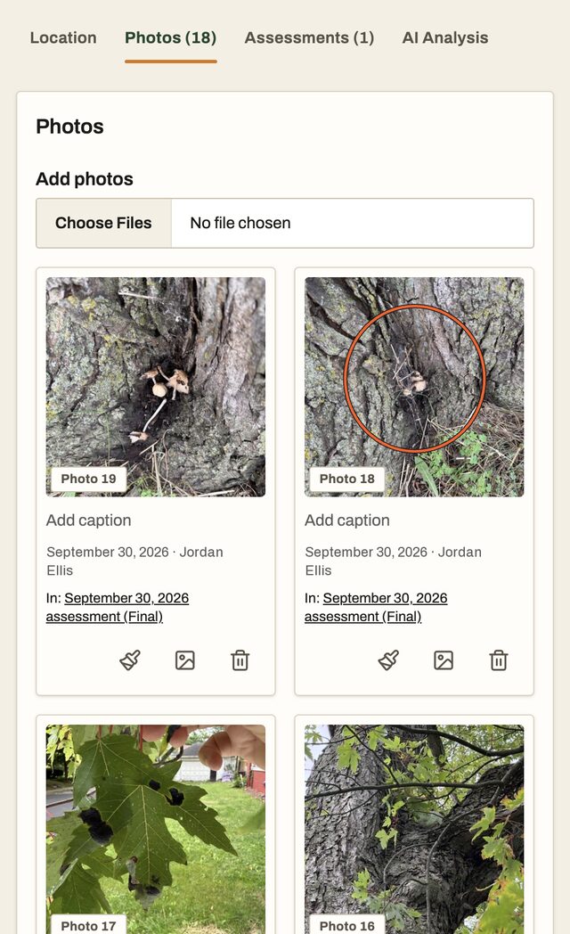 The tree's photo gallery on a phone: numbered photos of the trunk and leaves, one with a defect circled in orange.
