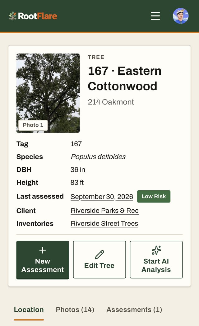 RootFlare on a phone: a tree's page with its photo, species, DBH, height, last assessment rated Low Risk, client and inventory, and buttons for New Assessment, Edit Tree and Start AI Analysis.