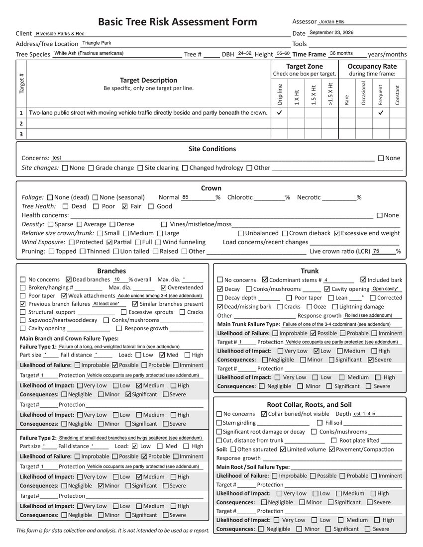 The same assessment exported to the Basic Tree Risk Assessment Form, its fields filled in and its boxes ticked.